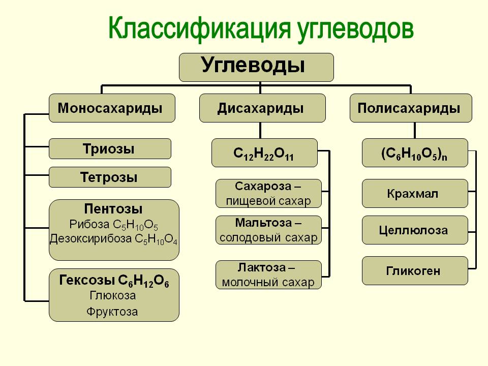 На основе текста параграфа и анализа иллюстраций составьте схему отражающую классификацию углеводов