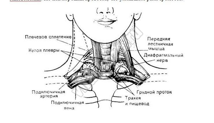 Катетеризация внутренней яремной вены схема